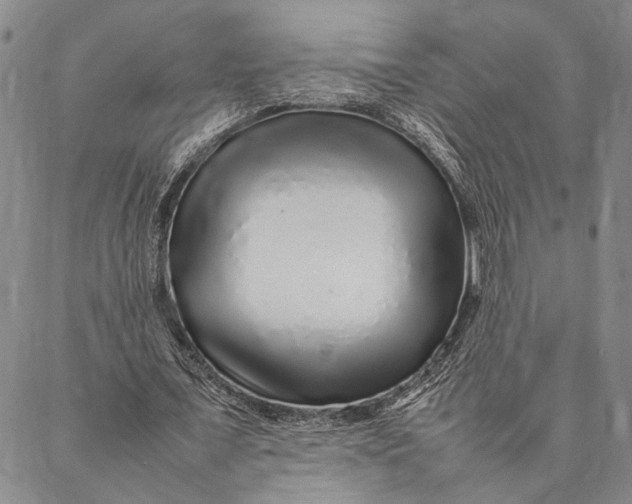 X0000087060675200705091201