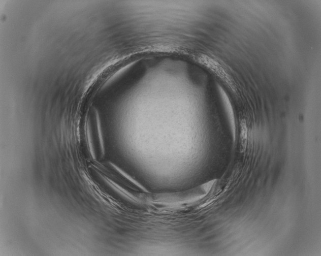 X0000087060676200705091201