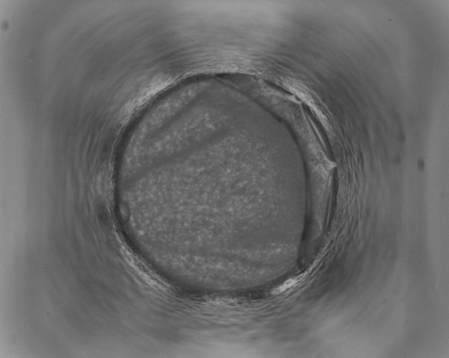 X0000087060677200705091201