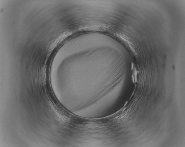 X0000087060678200705091201