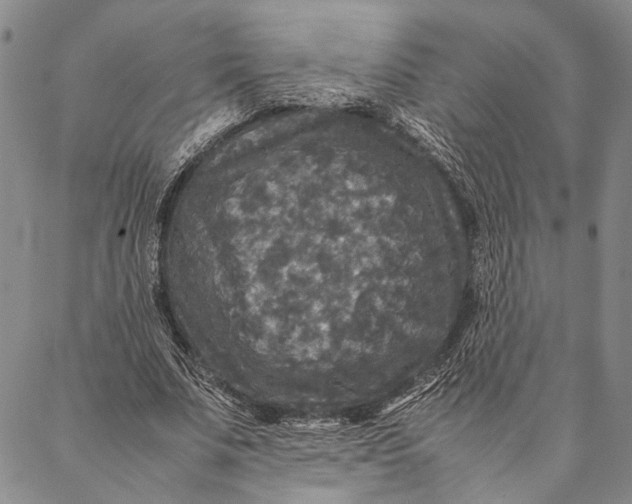 X0000087060679200705091201