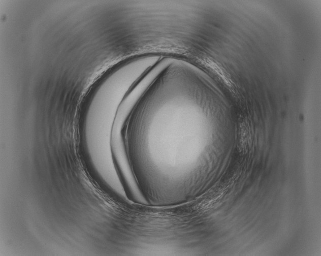 X0000087060680200705091201