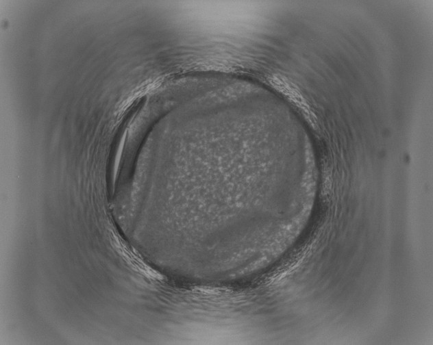 X0000087060681200705091201