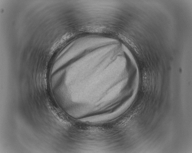 X0000087060682200705091201