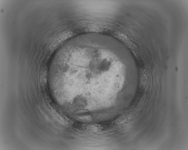 X0000087060683200705091201