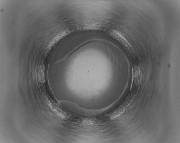 X0000087060684200705091201