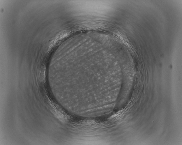 X0000087060685200705091201