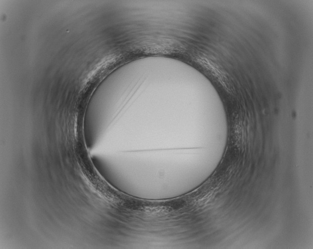 X0000087060686200705091201