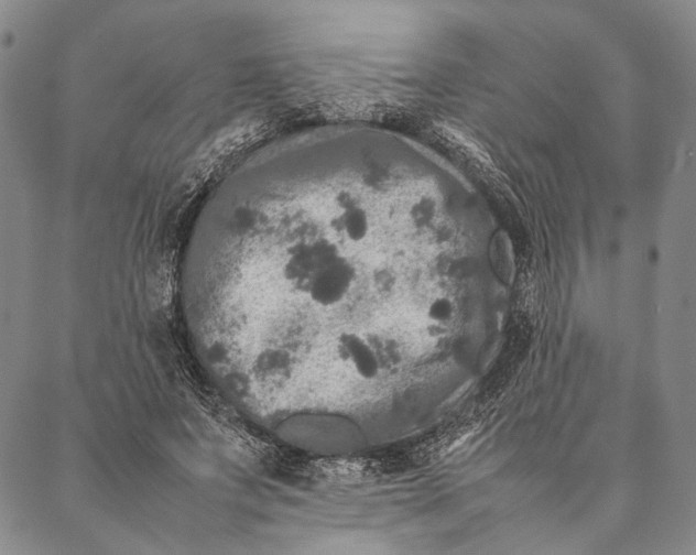 X0000087060687200705091201