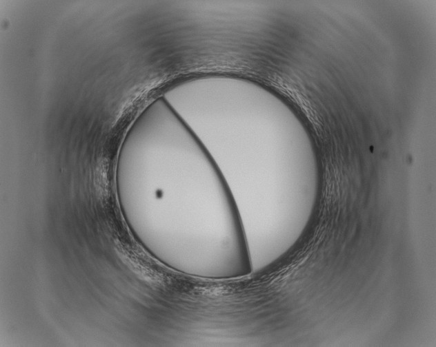 X0000087060688200705091201