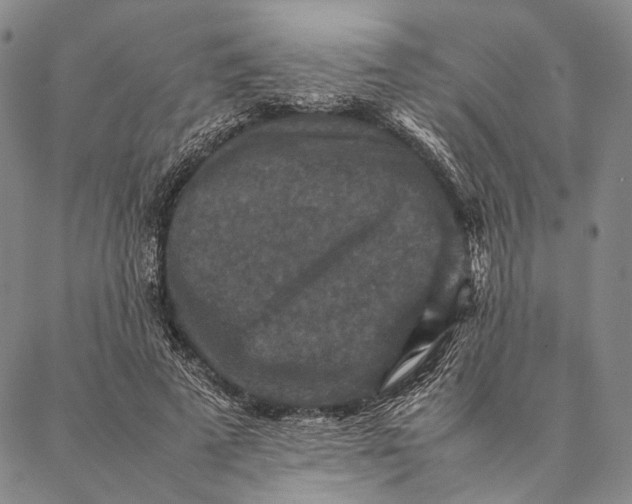 X0000087060689200705091201