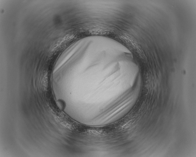 X0000087060690200705091201