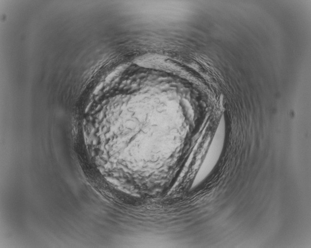 X0000087060691200705091201