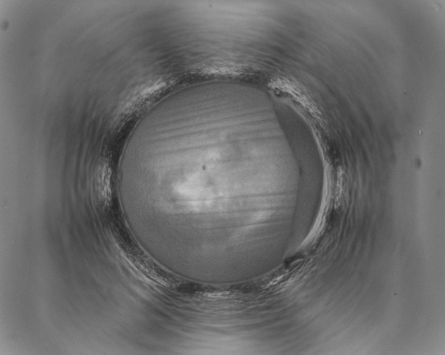 X0000087060692200705091201