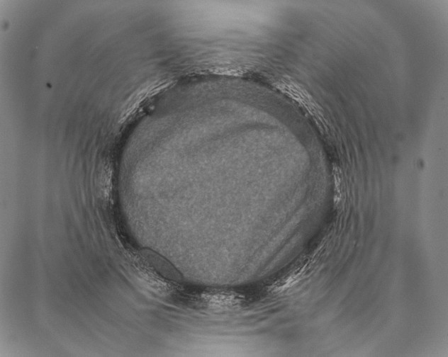 X0000087060693200705091201