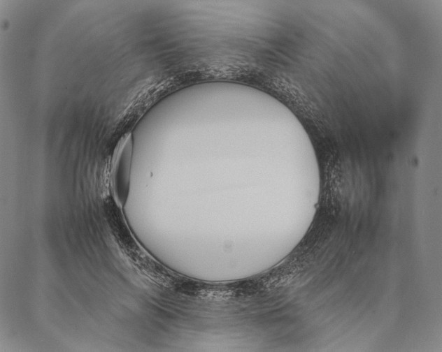 X0000087060694200705091201