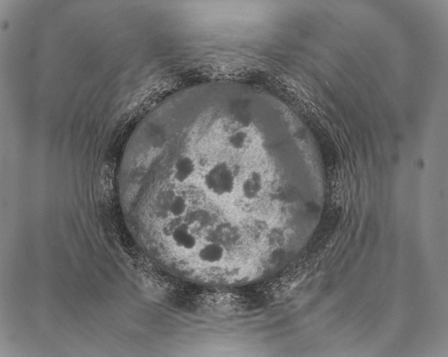 X0000087060695200705091201