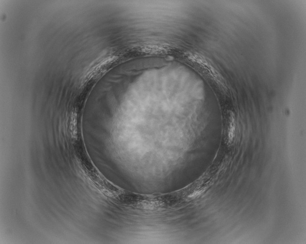 X0000087060696200705091201