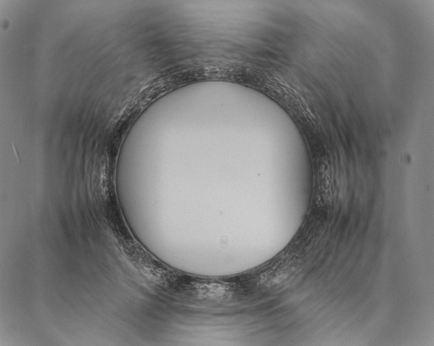 X0000087060698200705091201