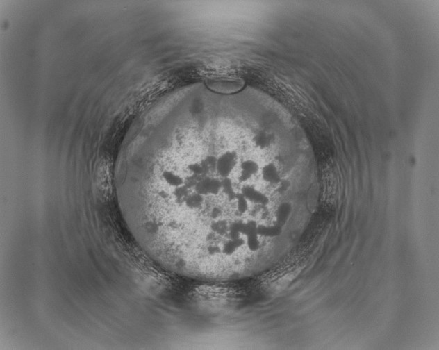 X0000087060699200705091201