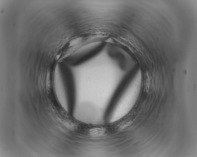 X0000087060700200705091201