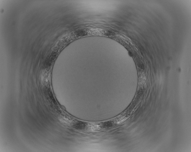 X0000087060701200705091201