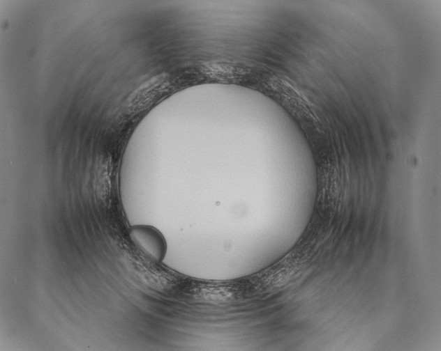 X0000087060702200705091201