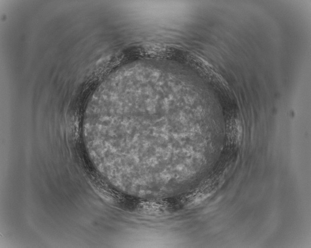 X0000087060703200705091201