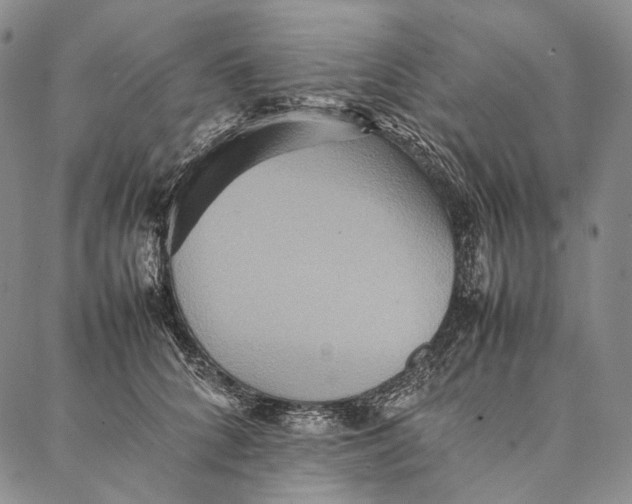 X0000087060704200705091201