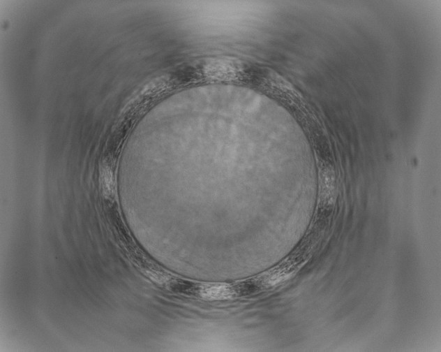 X0000087060705200705091201