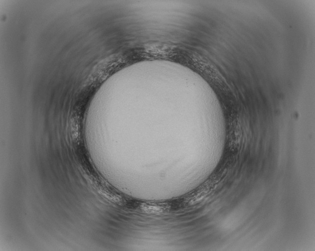 X0000087060706200705091201