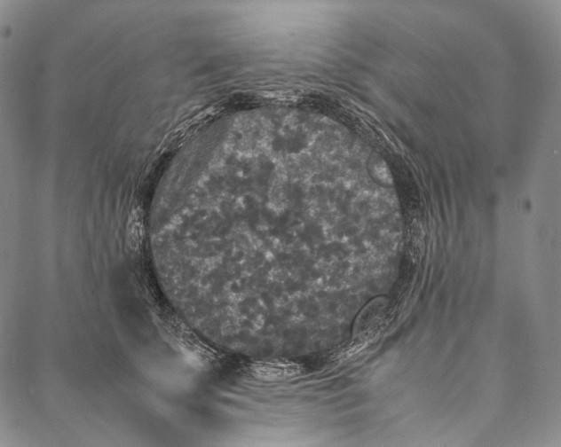 X0000087060707200705091201