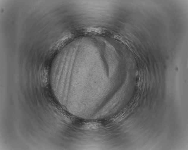 X0000087060708200705091201