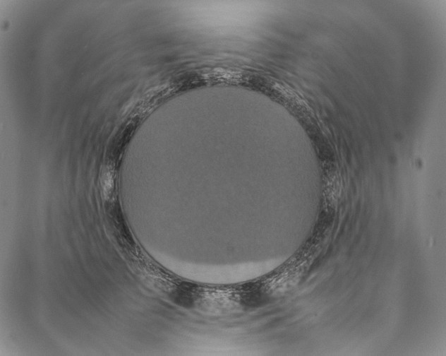 X0000087060709200705091200