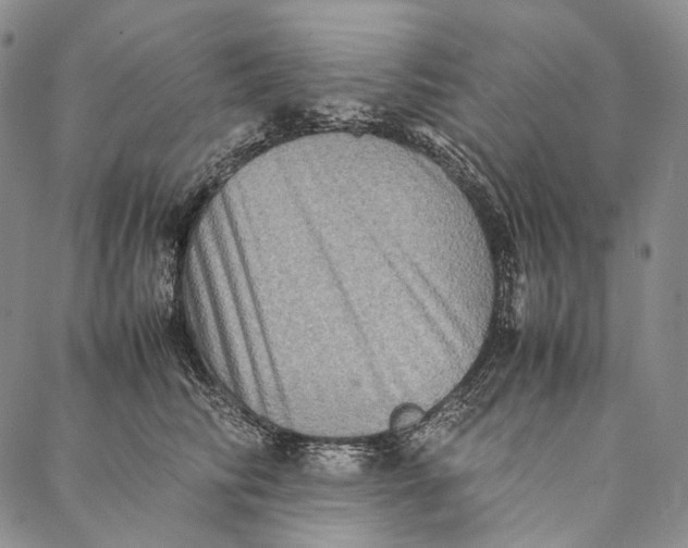 X0000087060710200705091200