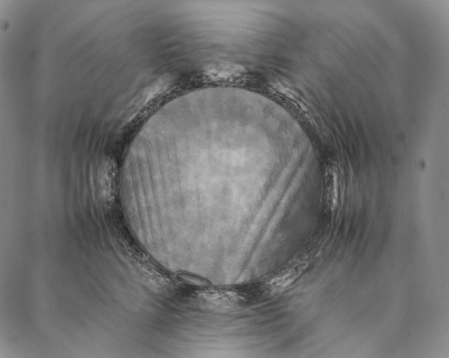 X0000087060712200705091200