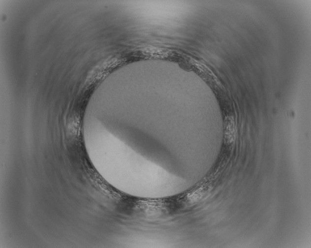 X0000087060713200705091200