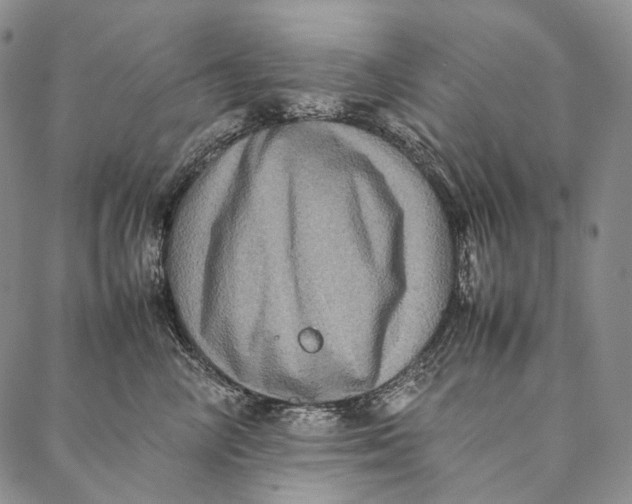 X0000087060714200705091200