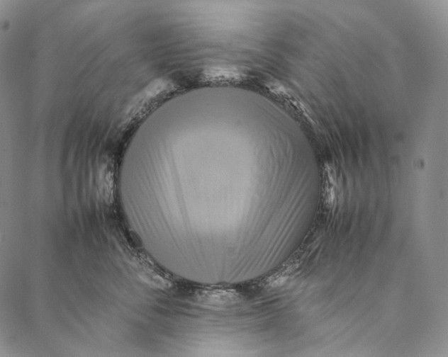 X0000087060716200705091200