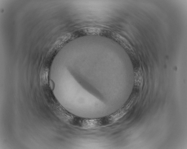 X0000087060717200705091200