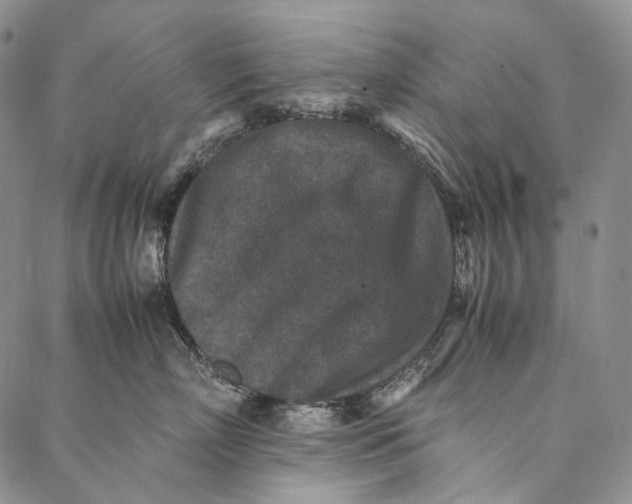 X0000087060718200705091200