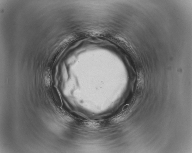 X0000087060719200705091200