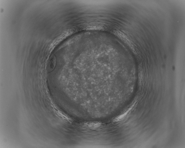 X0000087060721200705091200