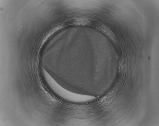 X0000087060722200705091200