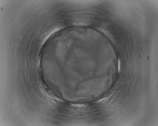 X0000087060723200705091200