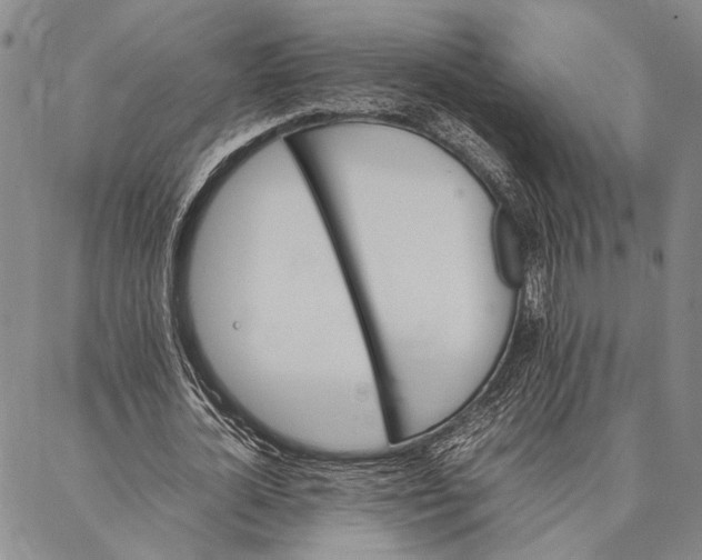 X0000087060724200705091200