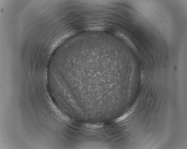 X0000087060725200705091200