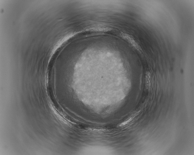 X0000087060726200705091200