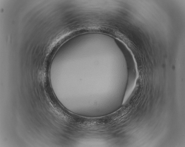 X0000087060728200705091200