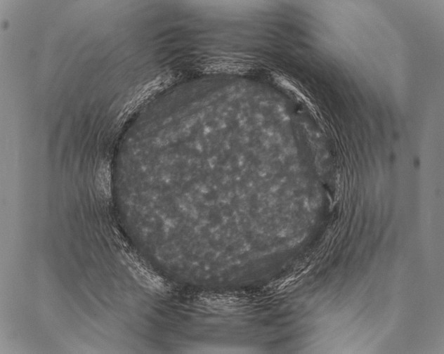 X0000087060729200705091200